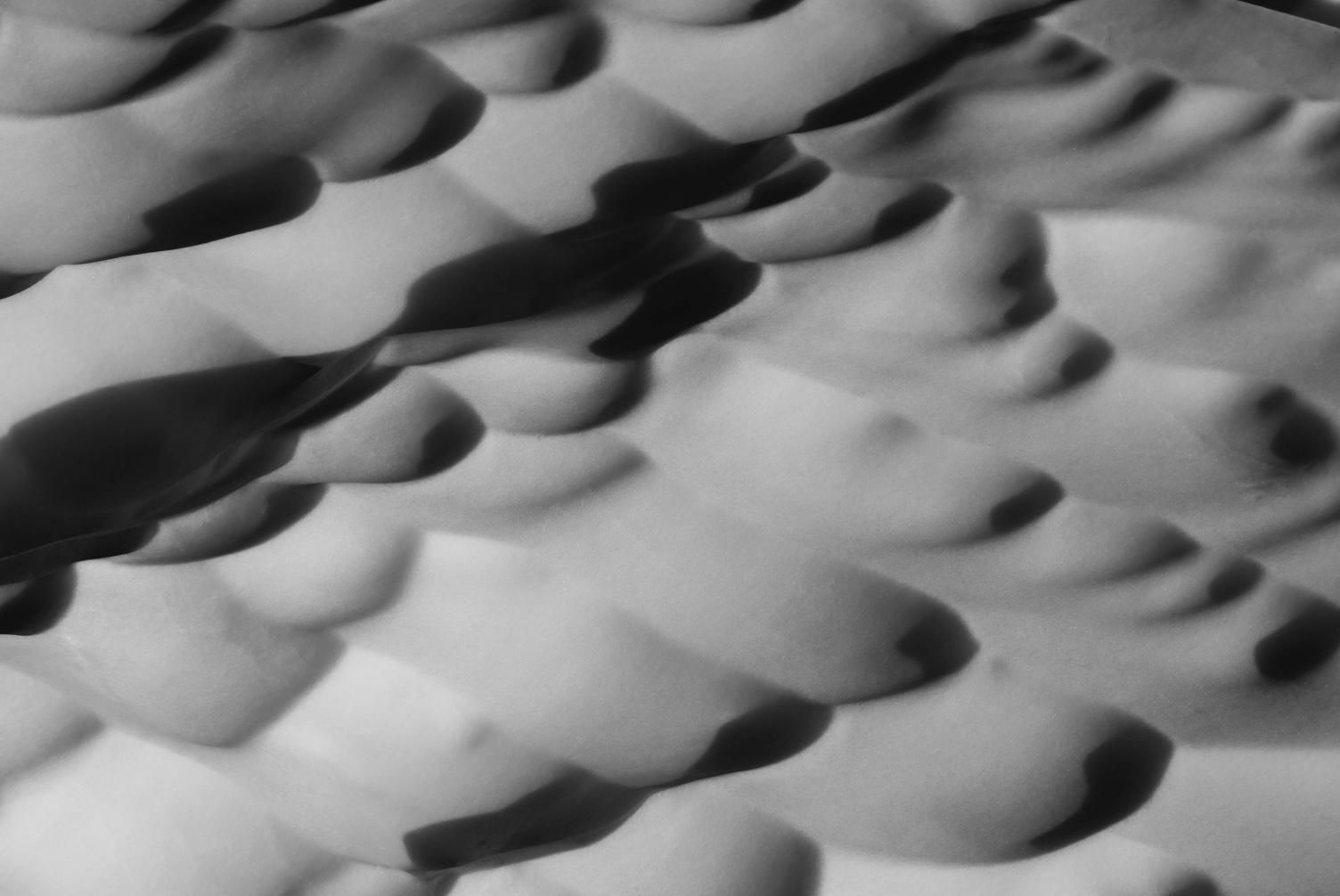 Sand dunes in black and white